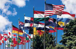 buy world flags online