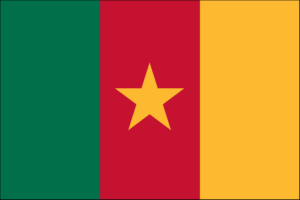 cameroon flag, buy online