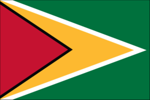 guyana flag, buy online