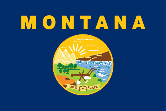 montana state flag, buy online