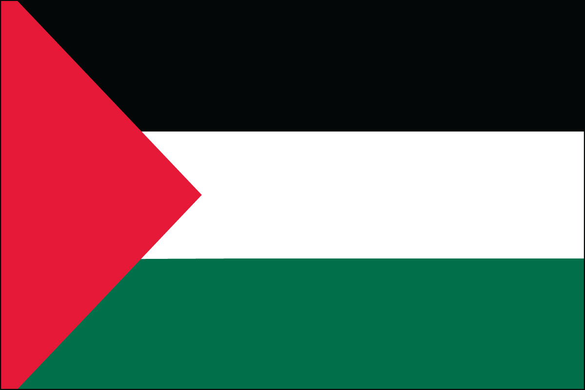 palestine flag, palestinian, buy online