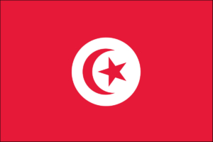 tunisia flag, tunisian, buy online