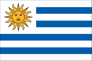 uruguay flag, buy online