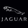 jaguar avenue banners, chicago